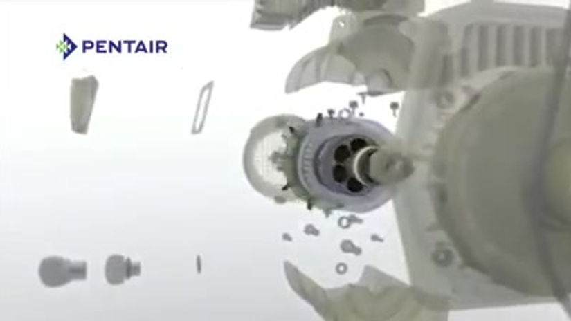 57252258_835054500162832_195279256572395520_n
